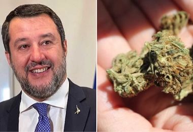 Salvini-Schlein, duello social sulla cannabis