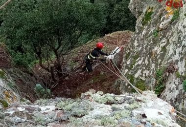 Capra precipita in un dirupo a Tergu, salvata dai Vigili del fuoco