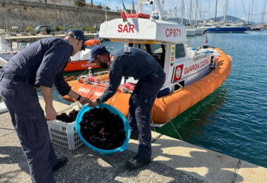 Mille ricci pescati illegalmente ad Alghero, multa da 4mila euro 