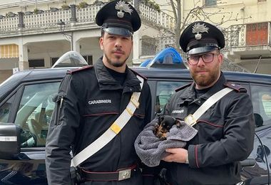 Ozieri. Abbandonato sul ciglio di una strada: carabinieri salvano cucciolo di 2 mesi