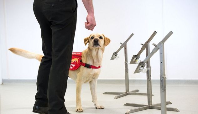 Sassari: cani da screening più efficaci dei test antigenici per rilevare il Covid