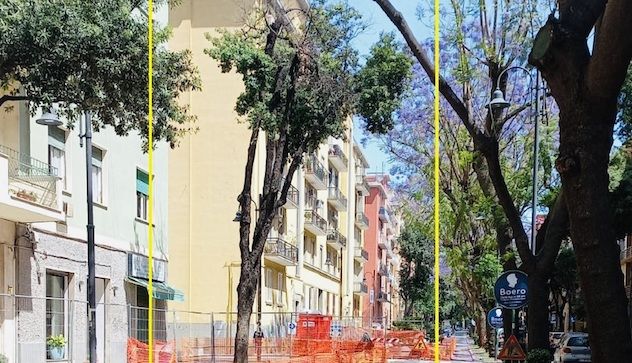 Cagliari. In via Dante saranno sostituiti 14 alberi a rischio schianto 