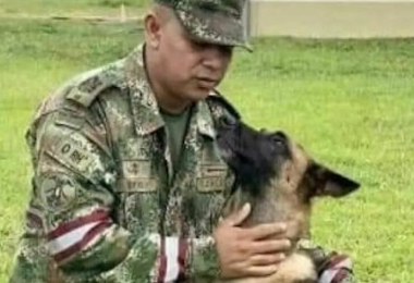 Colombia, scomparso il cane eroe che ha salvato i 4 fratellini nella giungla