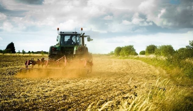 Agricoltura: cambiamenti climatici e uso del suolo, da Fondazione Cariplo nuovo bando