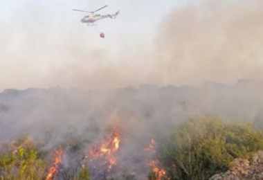 Incendi, Coldiretti: “Centinaia di ettari andati a fuoco in Sardegna”