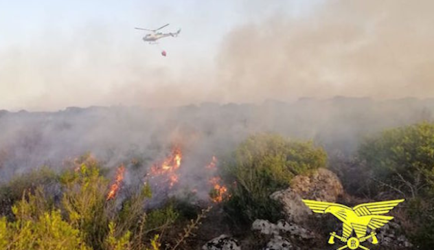 Incendi, Coldiretti: “Centinaia di ettari andati a fuoco in Sardegna”