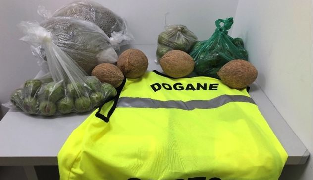 All'aeroporto di Alghero sequestrati oltre 13 chili di alimenti privi di certificazione