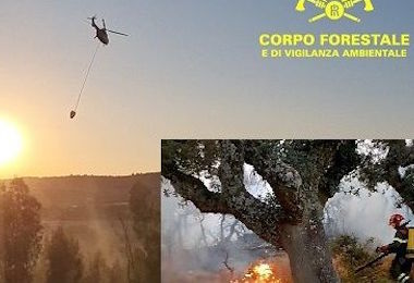 La Sardegna brucia anche oggi: 13 incendi, necessario l’intervento degli elicotteri 