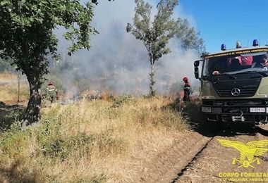 In corso un incendio a Bonorva: intervento del Corpo Forestale con supporto di un elicottero
