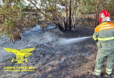 Incendio a Orani, sul posto un elicottero del Corpo forestale