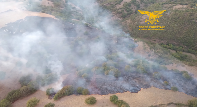 Non si fermano gli incendi in Sardegna: mezzi aerei a Burgos, Riola Sardo e Suni