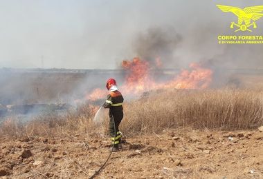 Ancora incendi in Sardegna: elicotteri a Nurri e Serramanna 
