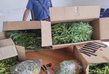 Maxi deposito di marijuana in casa: 29enne in manette a Cagliari