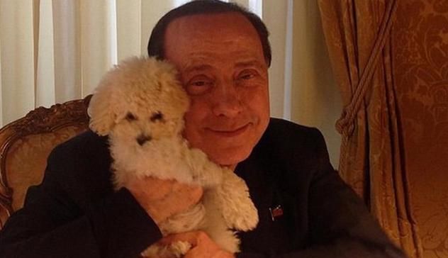 La seconda vita di Dudù: il barboncino di Berlusconi resta con Fascina