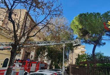 Pino pericolante a Sassari, intervengono i Vigili del fuoco