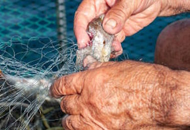 Fermo pesca, sit-in dei pescatori del Sulcis per indennizzi 