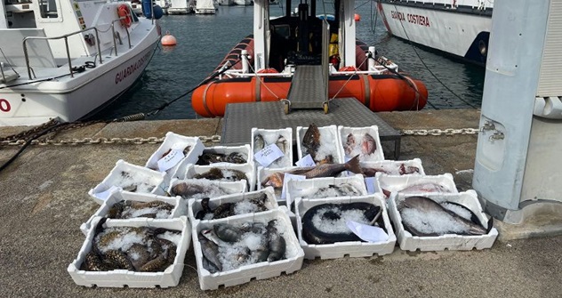 Stintino, 90 kg di pescato in auto: sequestrato e devoluto in beneficenza
