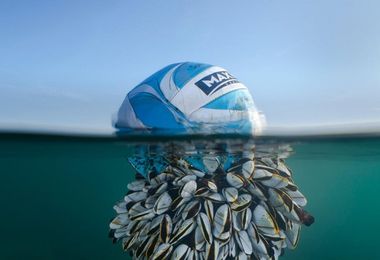 Il pallone e i crostacei: la foto simbolo dell'impatto sull'ambiente 