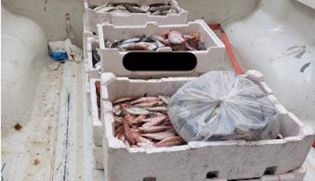 Cagliari, sequestrati 190 kg di pesce irregolare: scatta maxi multa per 4 commercianti