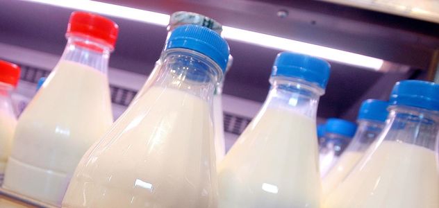 Aviaria in Usa nuovi controlli su latte e derivati, 'no virus vivi e infettivi'
