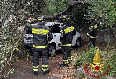 Albero cade su un'auto: intervento dei Vigili del fuoco nel Sassarese