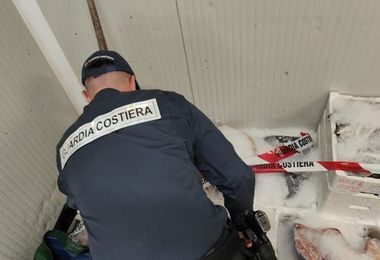 Sequestrati tre quintali di pesce dalla Guardia Costiera di Cagliari e Oristano