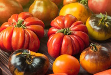 I sardi pazzi per agrumi e pomodori: vendite record nell’ultimo anno