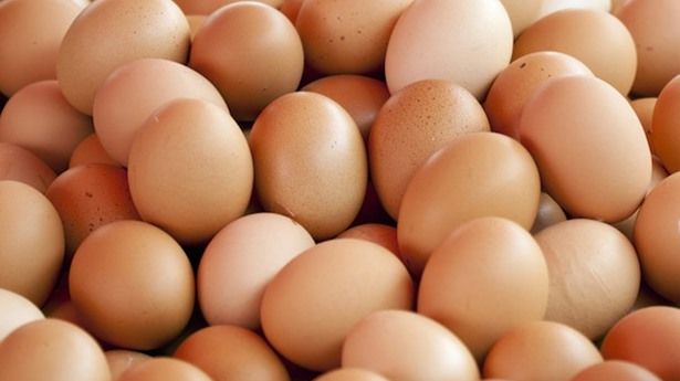 Allerta fipronil: ritirate dal commercio alcune partite di uova