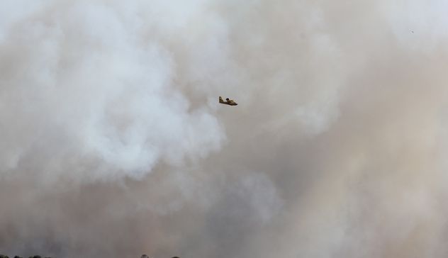 Incendio nelle campagne di Usini: devastati oltre 200 ettari di macchia mediterranea