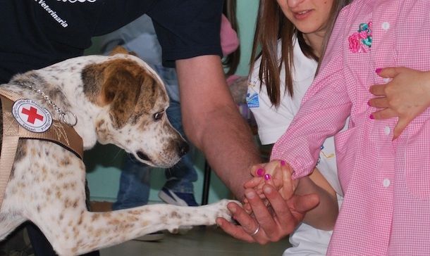 A Nuoro una Giornata dedicata alla Pet Therapy