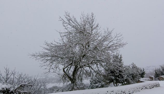 Scuole chiuse in diversi paesi della Gallura a causa delle abbondanti nevicate di ieri