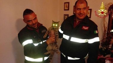 Gatto incastrato nella canna fumaria da un giorno: salvato dai Vigili del fuoco