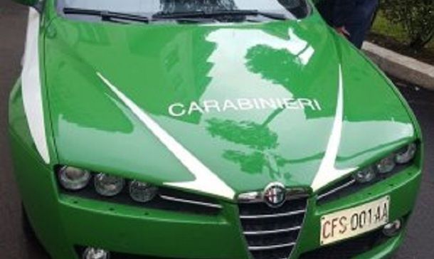 Cambio di colore per l'auto dei carabinieri: diventa verde