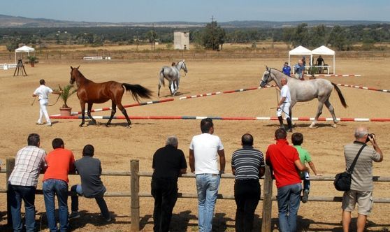 A Nughedu S. Vittoria una giornata dedicata ai cavalli con la 2^ Rassegna Equestre