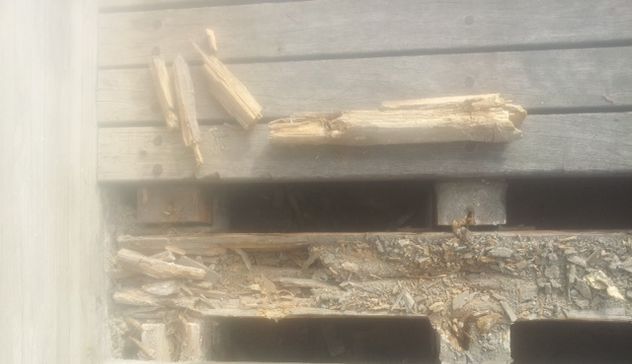 Alghero. Cedono le passerelle in legno: ponte di Fertilia chiuso ai pedoni per pericolo