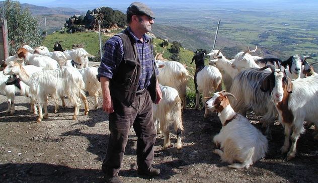 I sindaci dalla parte dei pastori: 