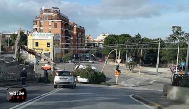 Vento forte a Cagliari. Albero cade su un'auto ferma al semaforo