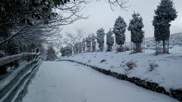 Sul Gennargentu torna la neve, paesaggi incantati a Separadorgiu e Su Filariu
