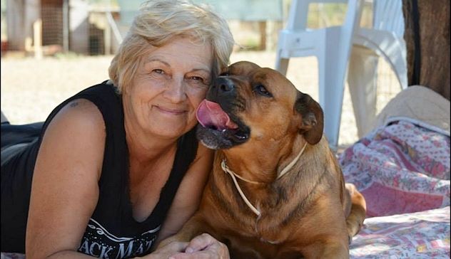 Cani abbandonati da 'padroni' senza scrupoli: appello per aiutare 230 amici a quattro zampe