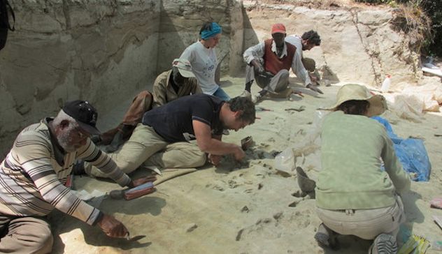 Scoperte impronte di un bambino di 700mila anni fa