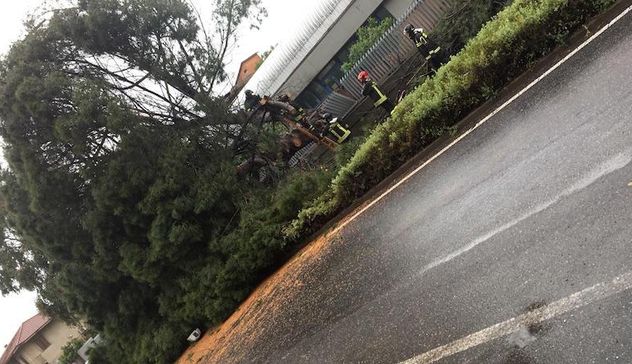 Il maestrale abbatte un albero in via Gennargentu