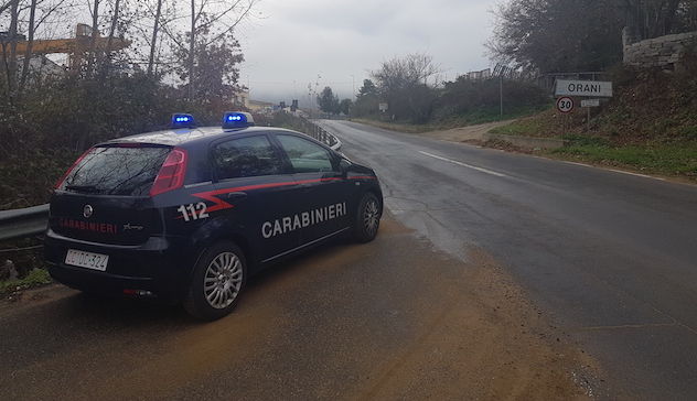 Due bovini uccisi in un'azienda: indagini in corso dei Carabinieri