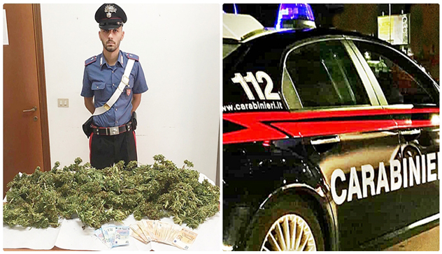 In casa con 60 piantine di marijuana, 48enne arrestato dai Carabinieri