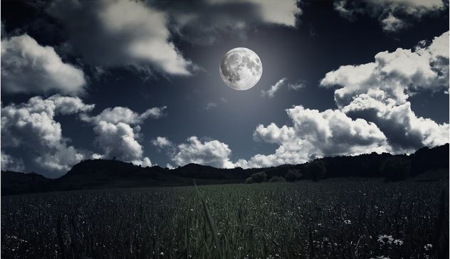Domenica 26 agosto la “Passeggiata al chiaro di luna”