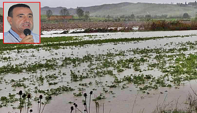 Maltempo, Coldiretti Sardegna: “L’agosto piovoso sta mandando ko l’agricoltura”