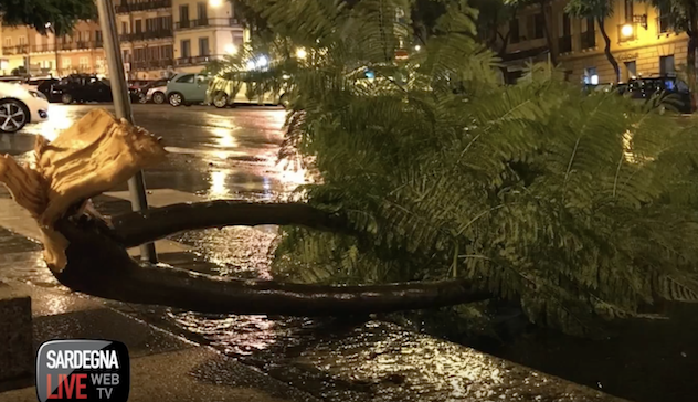 Raffiche di forte vento nella notte: alberi abbattuti sulle strade. VIDEO