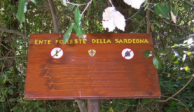 Via libera alla legge sull’inquadramento del personale di Forestas: Spanu: «Formulate proposte per eliminare punti di incertezza»