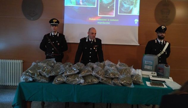 Operazione antidroga dei carabinieri: un arresto