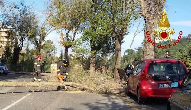 Forte vento nel Nuorese e in Ogliastra: decine gli interventi dei Vigili del fuoco 
