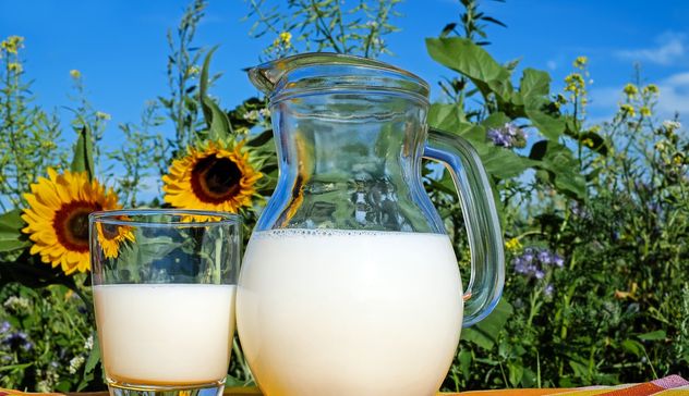 “Divisione o patto di crescita”: a Banari si parla del prezzo del latte 2019